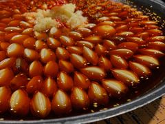 -水哥卜卜贝(东晓·胜汇里店)