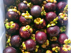 山竹-西郊国际农产品交易中心