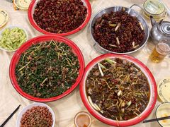 -东吴霸王兔(松青路店)