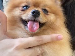 -怪兽屋·羊驼·猫咖·狗咖(俊华广场店)