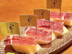 -月龍吟(朝龙汇店)