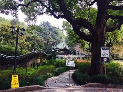-申粤轩酒楼·三十年粤菜经典(丁香花园店)
