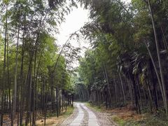 -黄公望隐居地