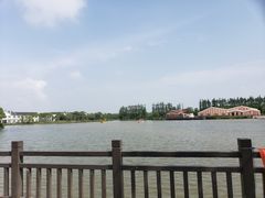 -上海长兴岛郊野公园