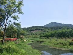 -竹园小居(石塘竹海店)