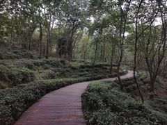 -万佛湖风景区