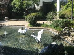 -广富林宰相府酒店·水云间