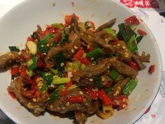 鸭掌筋-壹盏灯(惠农店)