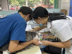 -瑞派动物医院·猫专科·至诚(江南中分院)