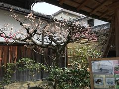 -中村藤吉(本店)