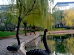 -金桥现代产业园区-停车场