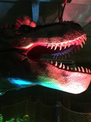 点击看大图 -恐龙探索乐园(磁器口店)