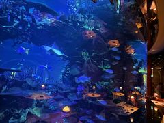 -迪拜帆船酒店海底餐厅