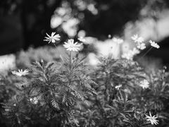 -星光摄影器材城