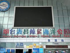 -烟台海昌鲸鲨海洋公园