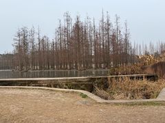 -白鹭湾湿地公园