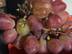 -马陆小张葡萄园农家乐