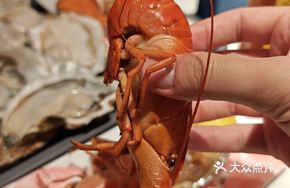 Live Australian Blue Lobster