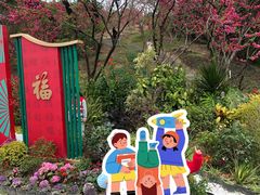 -金鸡山公园