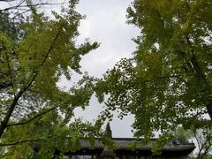 -成都武侯祠博物馆