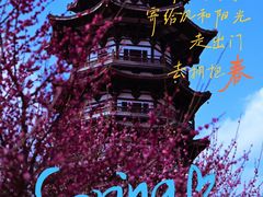 -洋湖国家湿地公园