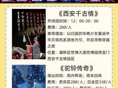 -《驼铃传奇》秀
