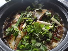 -老杨砂锅鱼庄