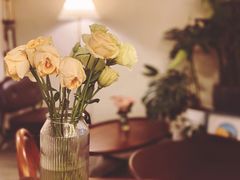 -COTTON CAFE(德信·中外公寓店)