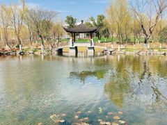 -武汉园博园(武汉自然博物馆)
