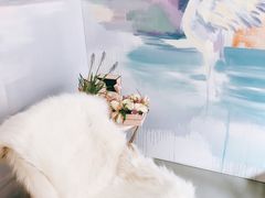 -蝶舍·MAISON PAPILLON