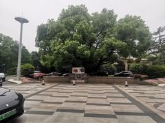 -上海兴国宾馆香樟园西餐厅