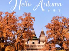 -北京石刻艺术博物馆