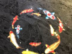 -浣花锦绣(杜甫草堂店)