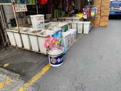 -清平路水族市场