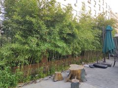 -回声星球·团建策划·赛事承办·拓展培训(大钟寺店)