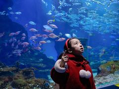 -海合安武汉极地海洋公园