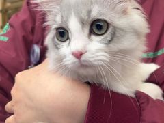 -瑞派康怡24h宠物医院·犬猫医疗中心·微创绝育(瑞景分院)