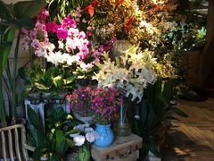 -春暖花开(西溪店)