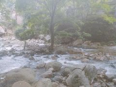 -罗田天堂寨风景区