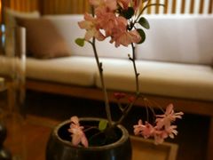 -昆明柏联SPA温泉