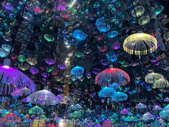 -梵高星空艺术馆(北京旗舰店)