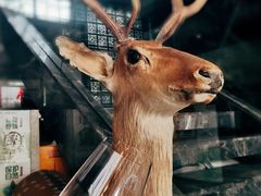 -秦园酒楼(水岸星城店)