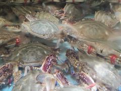 -良师门滨海人家·海鲜·家常菜(滨海城店)