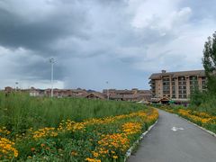 -长白山万达喜来登度假酒店