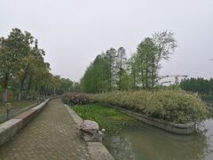-映月湖中央公园