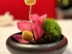 -桂花楼淮扬中餐厅(浦东香格里拉店)