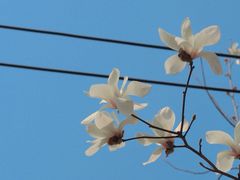 -常熟路(地铁站)