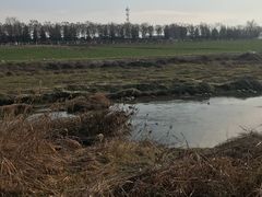 -洨河生态公园