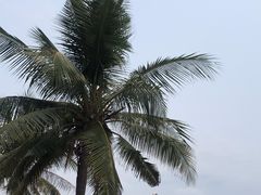 -三亚南山文化旅游区