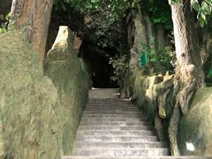 -吉林省自然博物馆